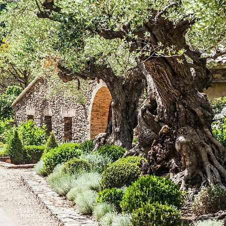 Domaine Les Mesanges Hotel Гасен Екстериор снимка