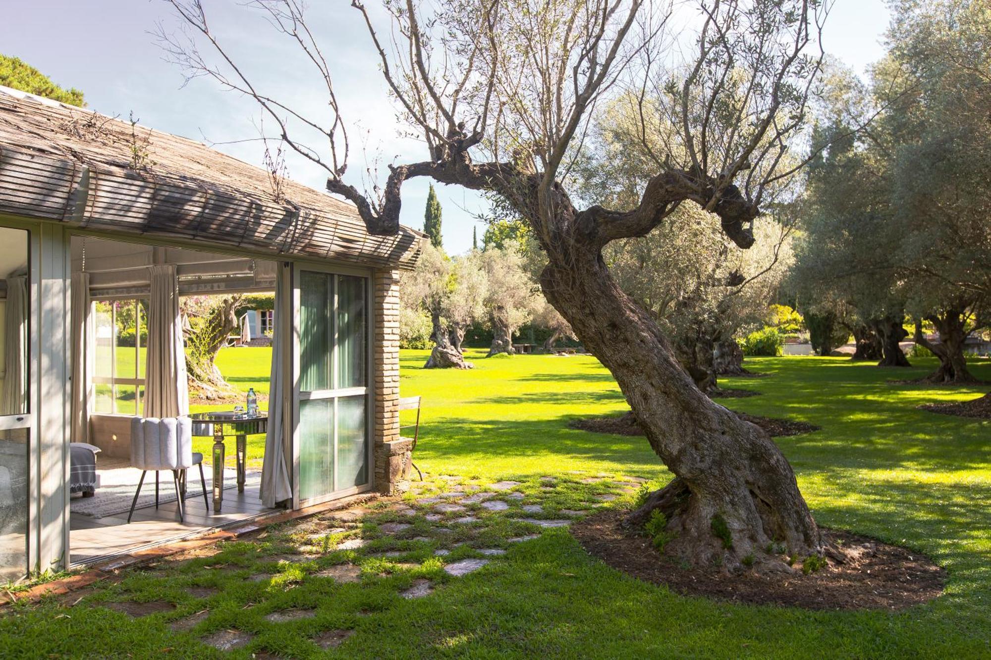 Domaine Les Mesanges Hotel Гасен Екстериор снимка